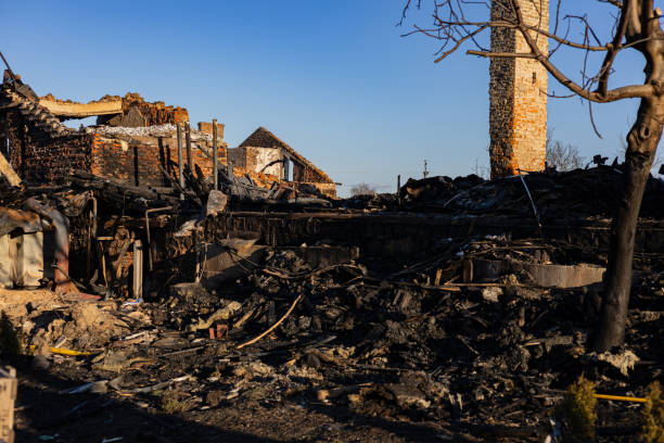 Reliable Content Restoration contractor in Woodinville, WA by Fire Damage Doption